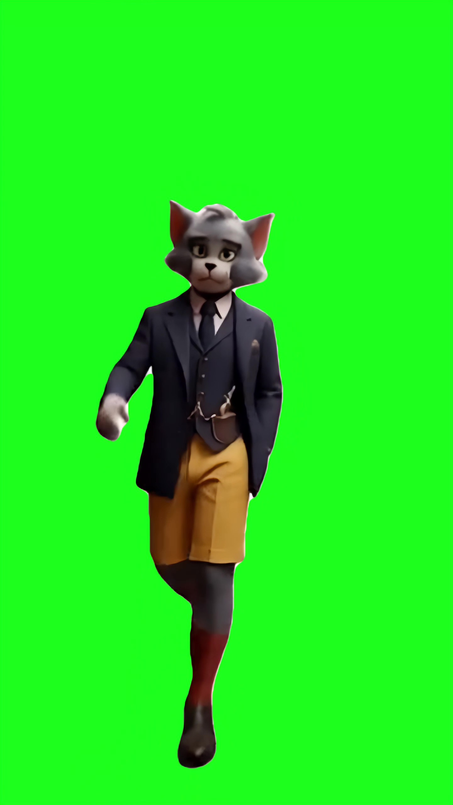 Tom Yara Yara Phonk green screen