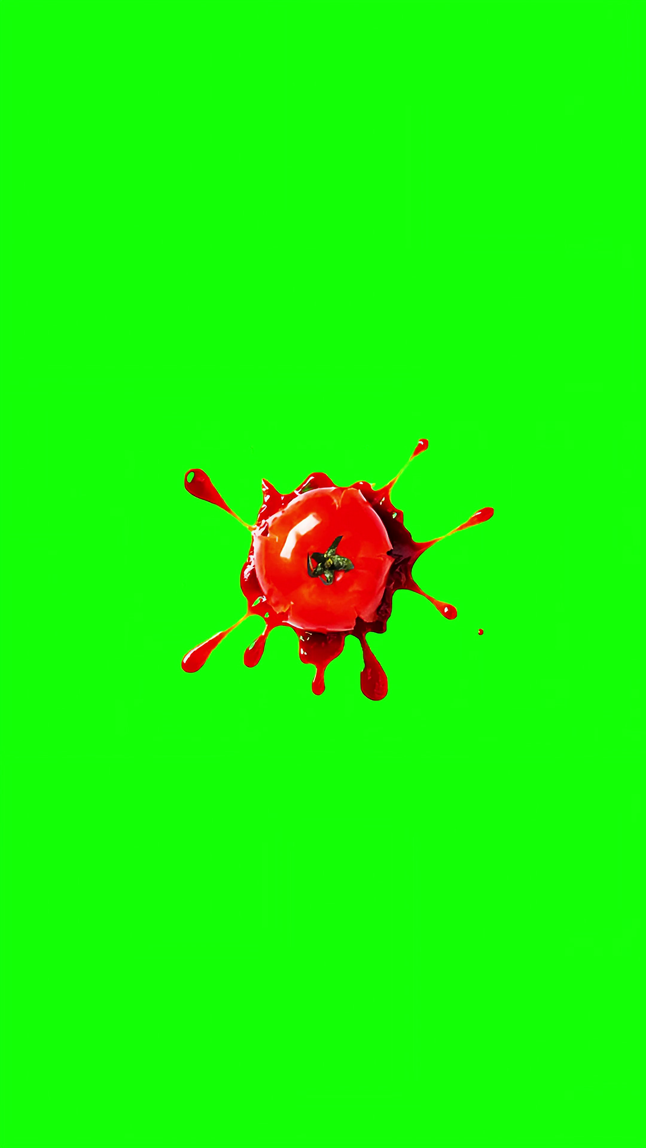 Tomato Splat green screen