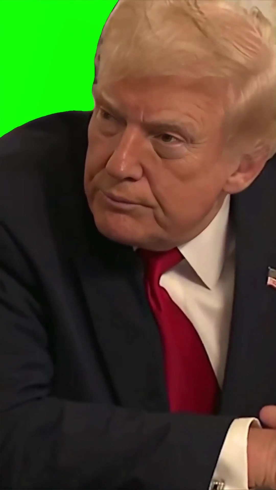 Trump are you stupid green screen