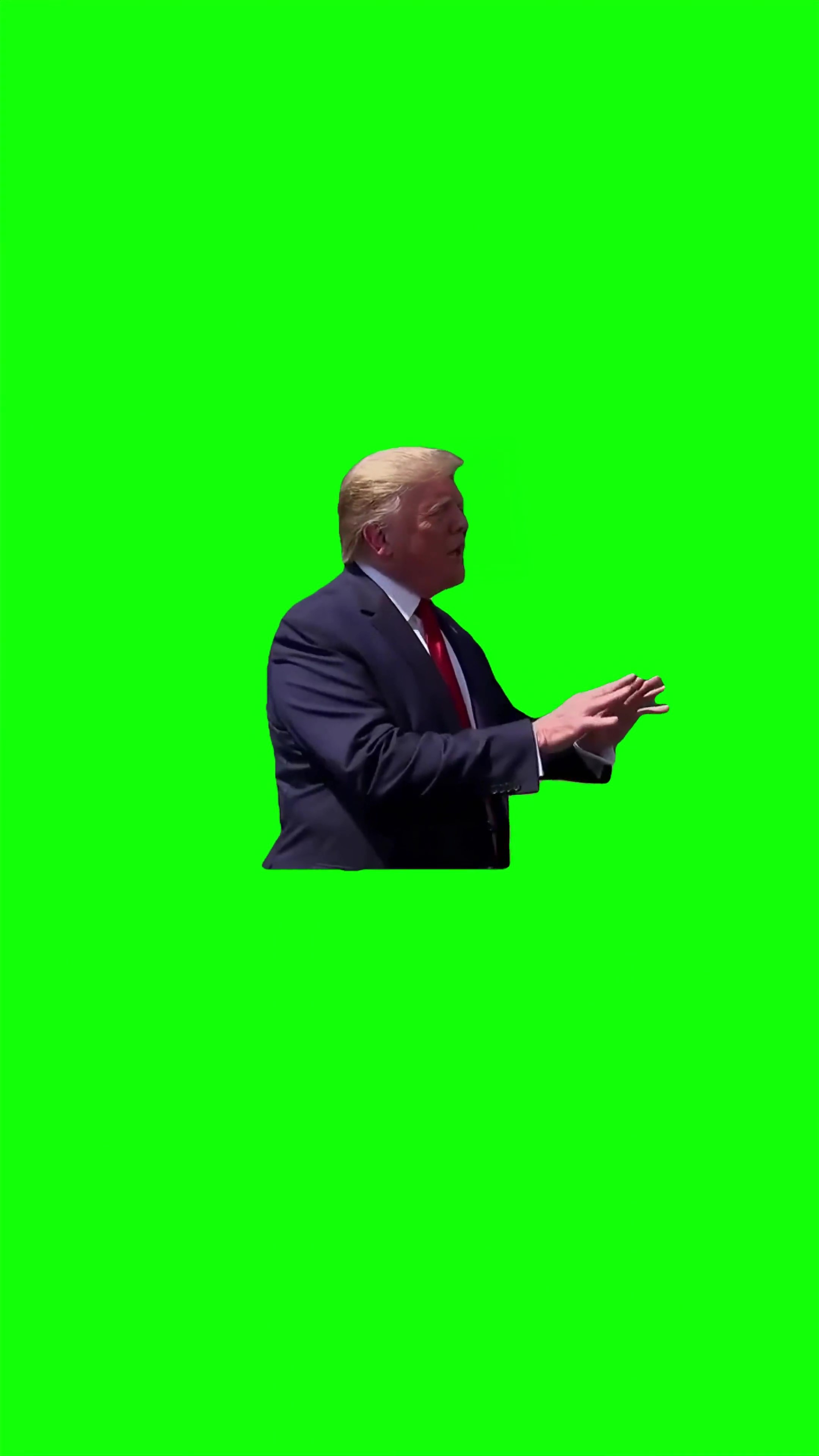 Trump somebody had to do it  green screen