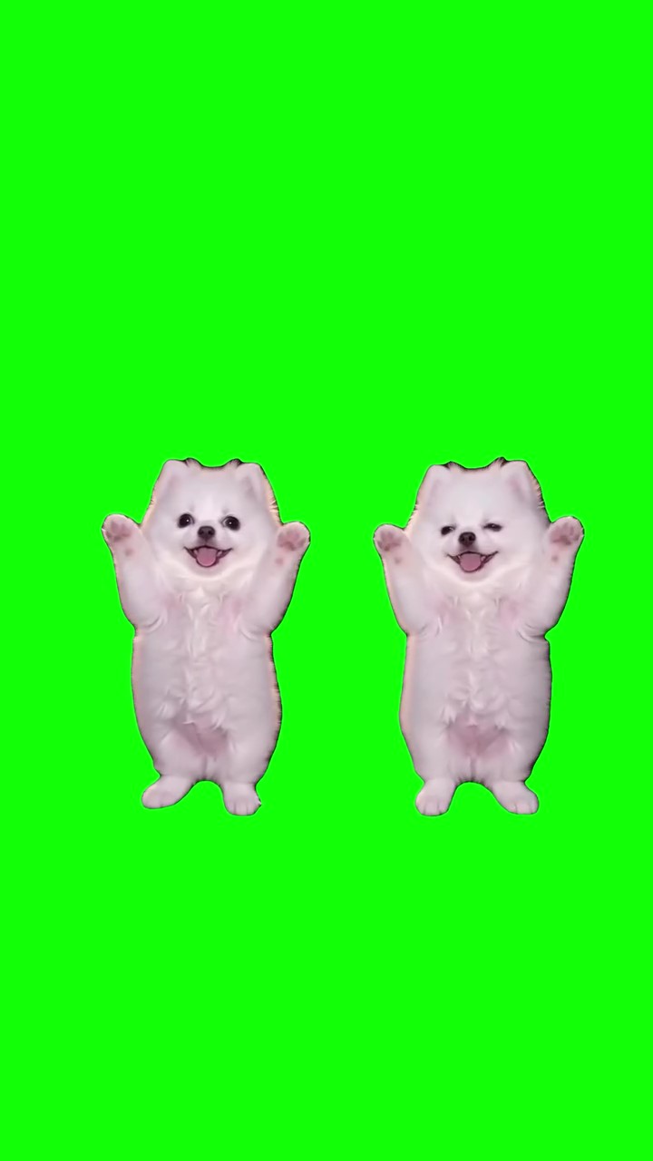 Tun Tun Tun green screen