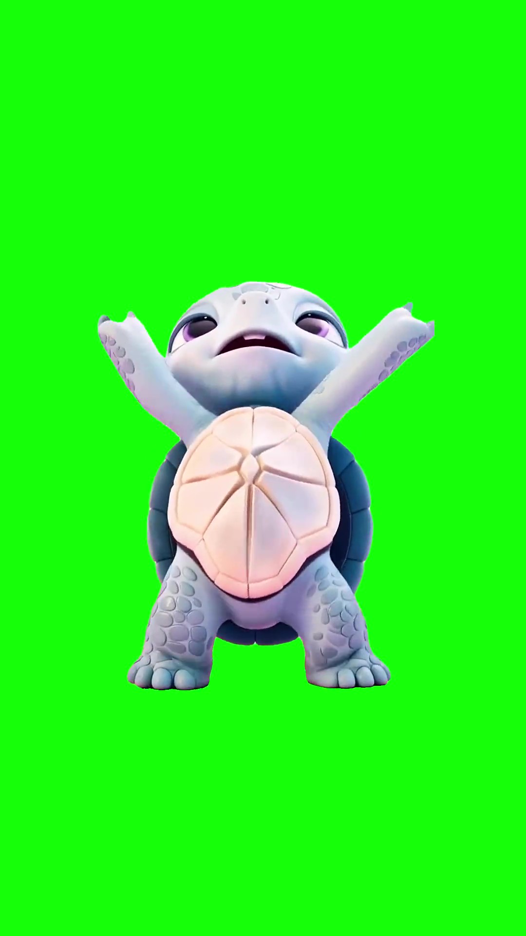 Turtle Dancing green screen