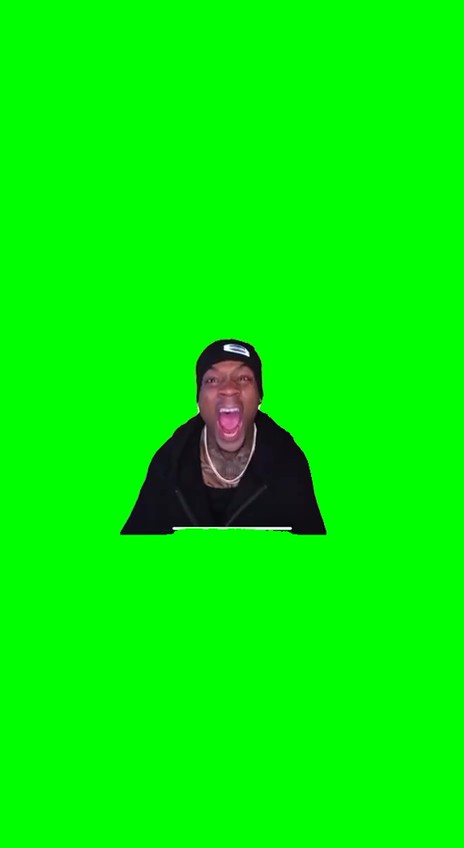 Tylil CRASHOUT on LeBron James after a loss green screen