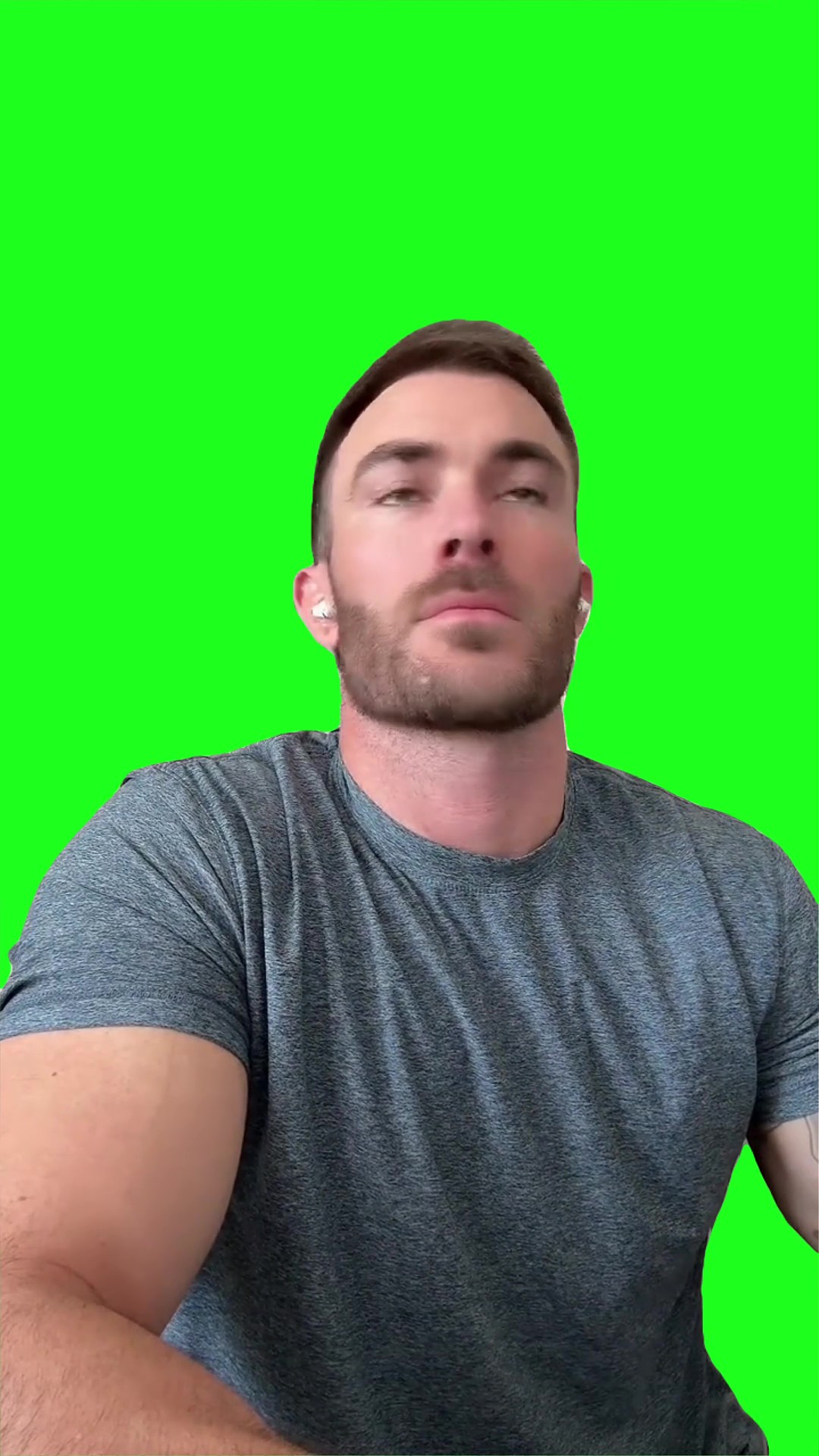VShred Smirk green screen