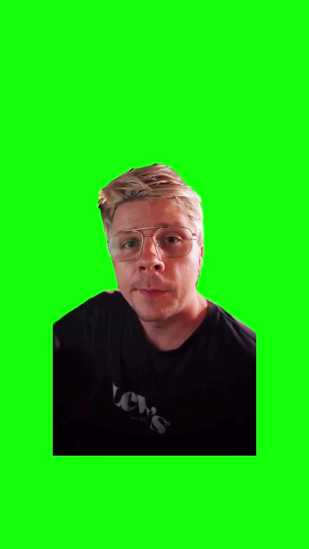 Vot takay sobachka green screen