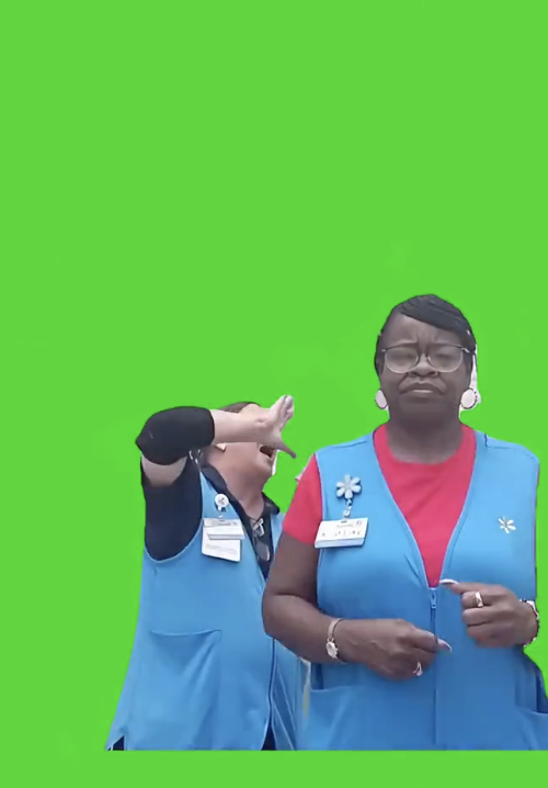 Walmart ladies dance green screen
