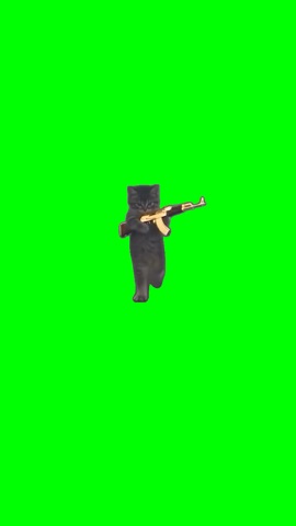 Whiskers Runs Up With An Ak green screen