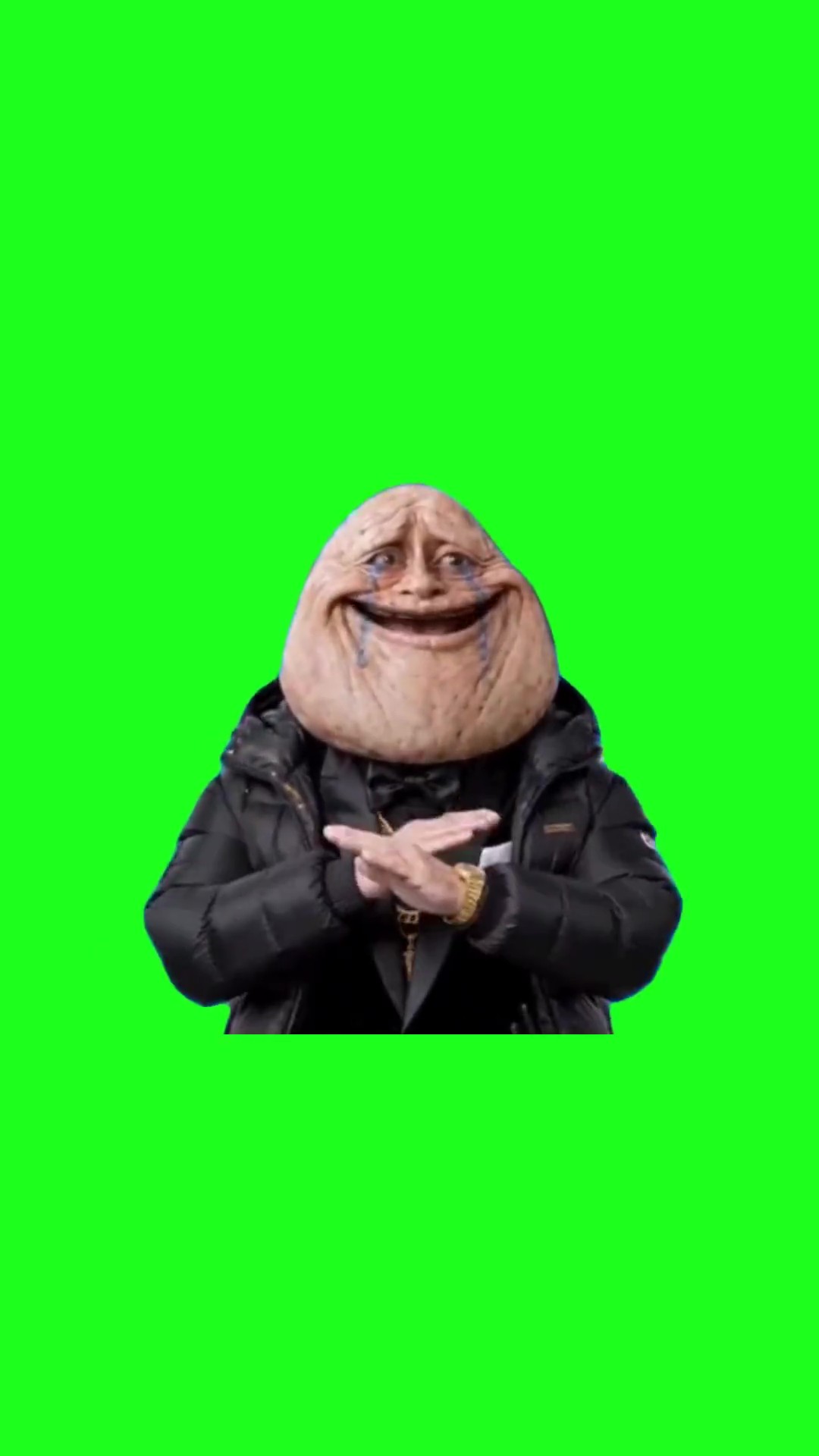 Why You Bulleh Meh green screen
