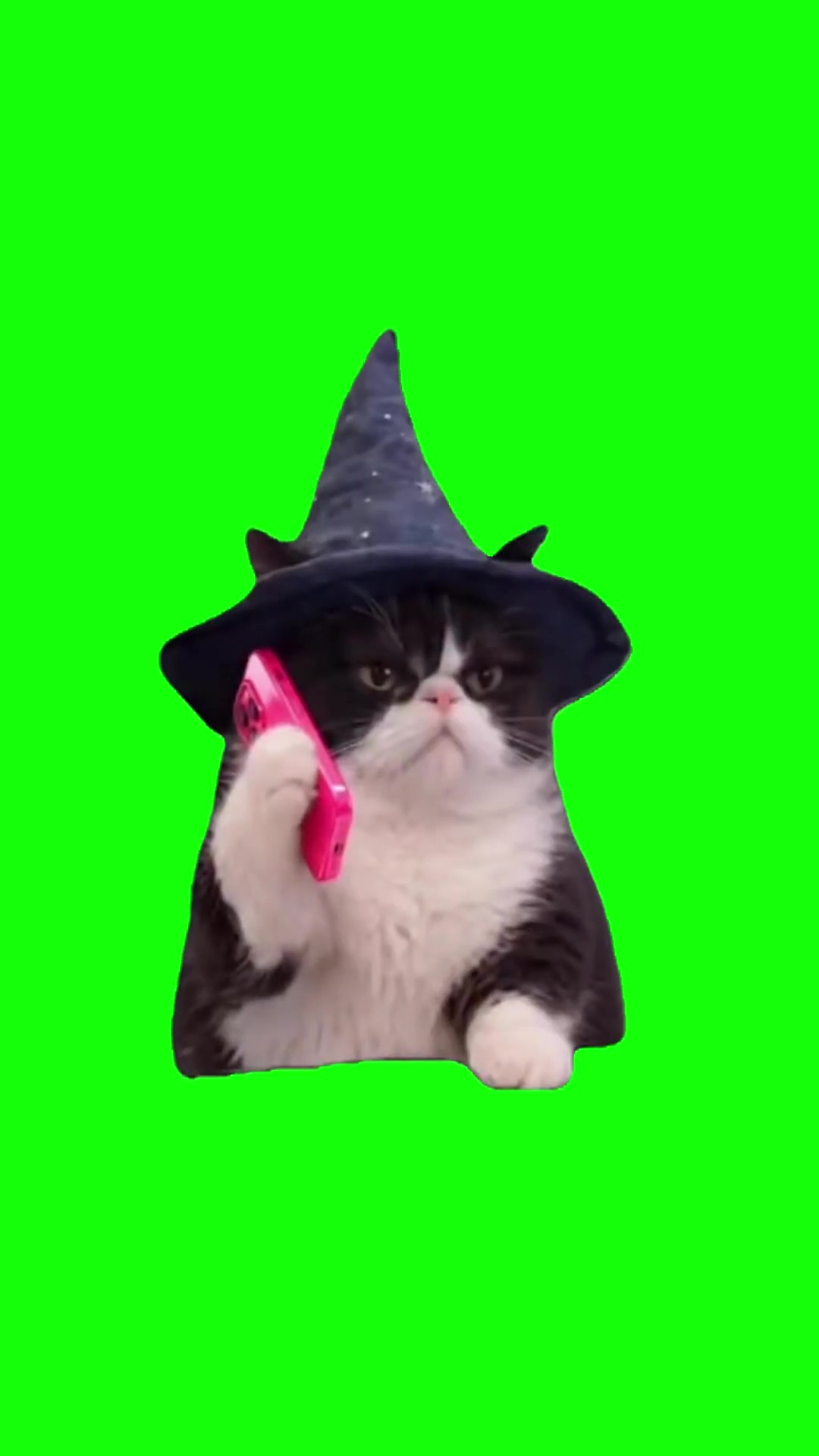 Cat With Shopping Bags Green Screen – Free Download & Online Editor