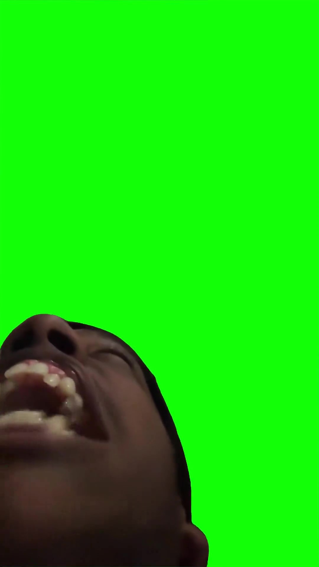 Yayauayauayaay green screen