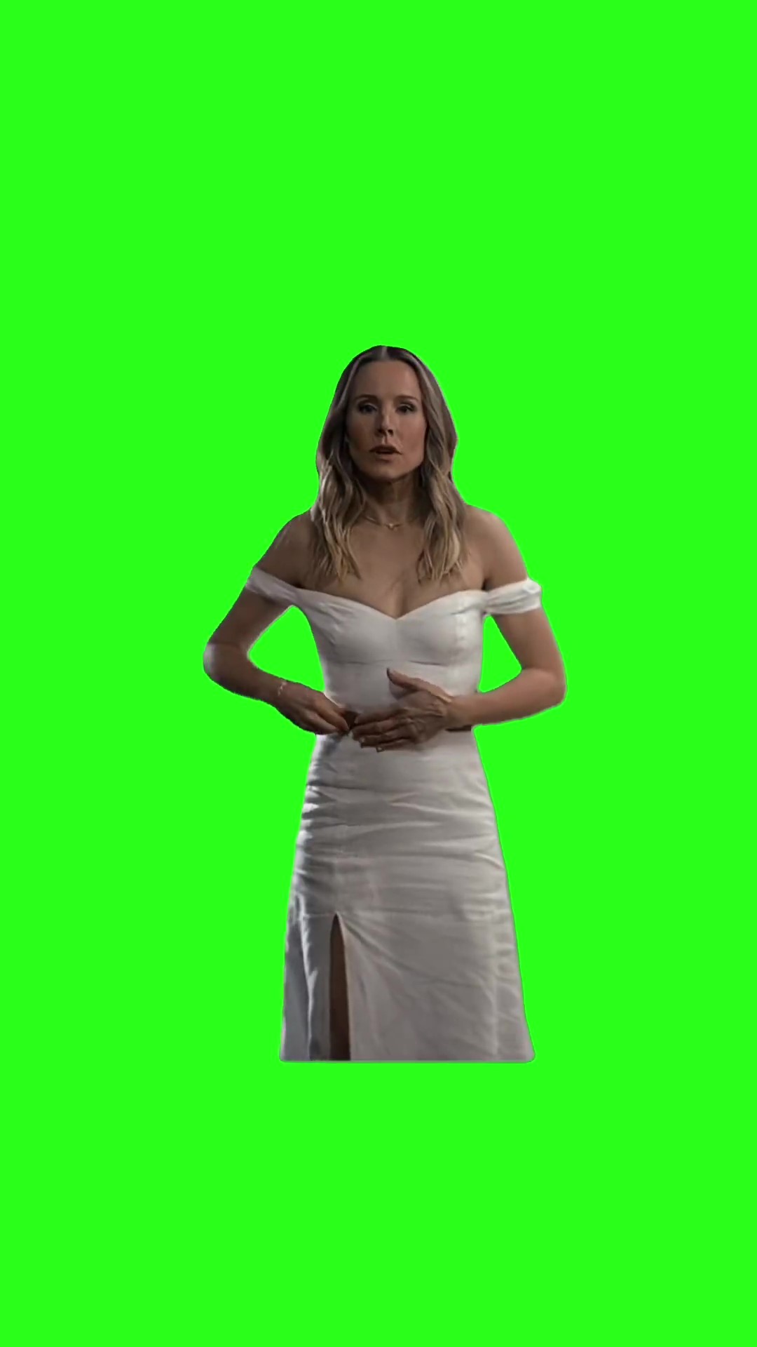 You Gorgeous Btch green screen