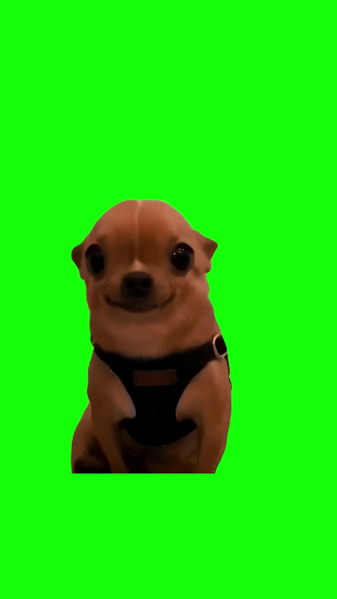 Your are nice, your pretty green screen