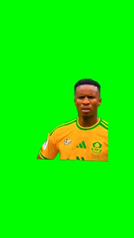 Zwane Confused Face green screen