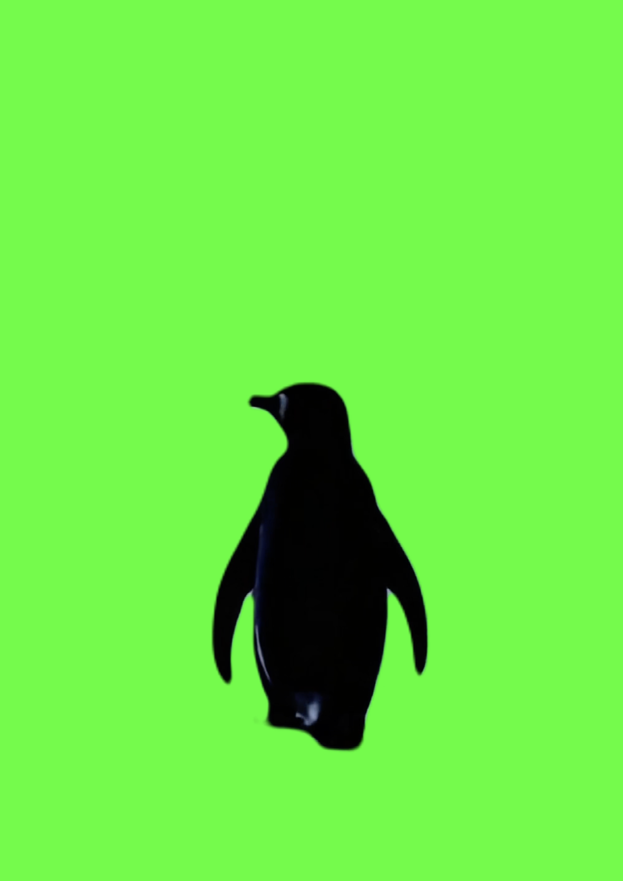 But why penguin remake green screen
