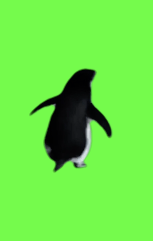 but why penguin green screen