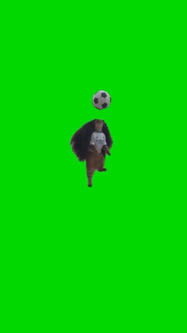 cucurella cat With A Ball green screen