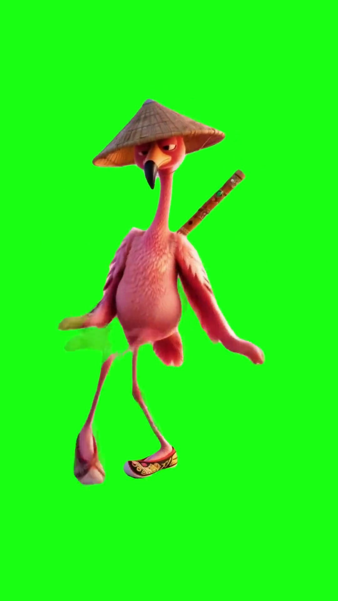 flamingo dance green screen