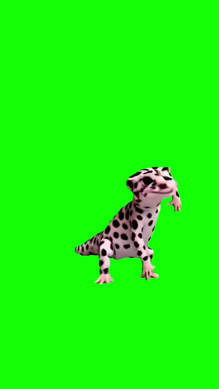 lizard vibing green screen