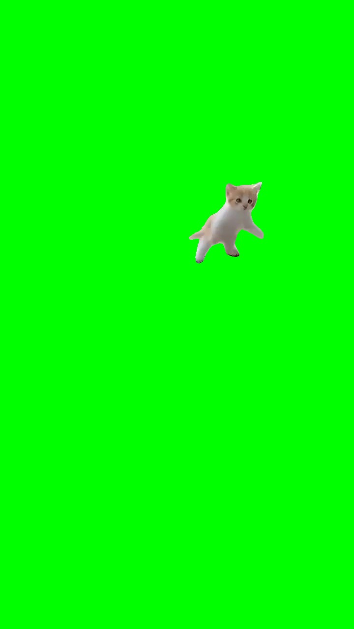 mink mink mink green screen