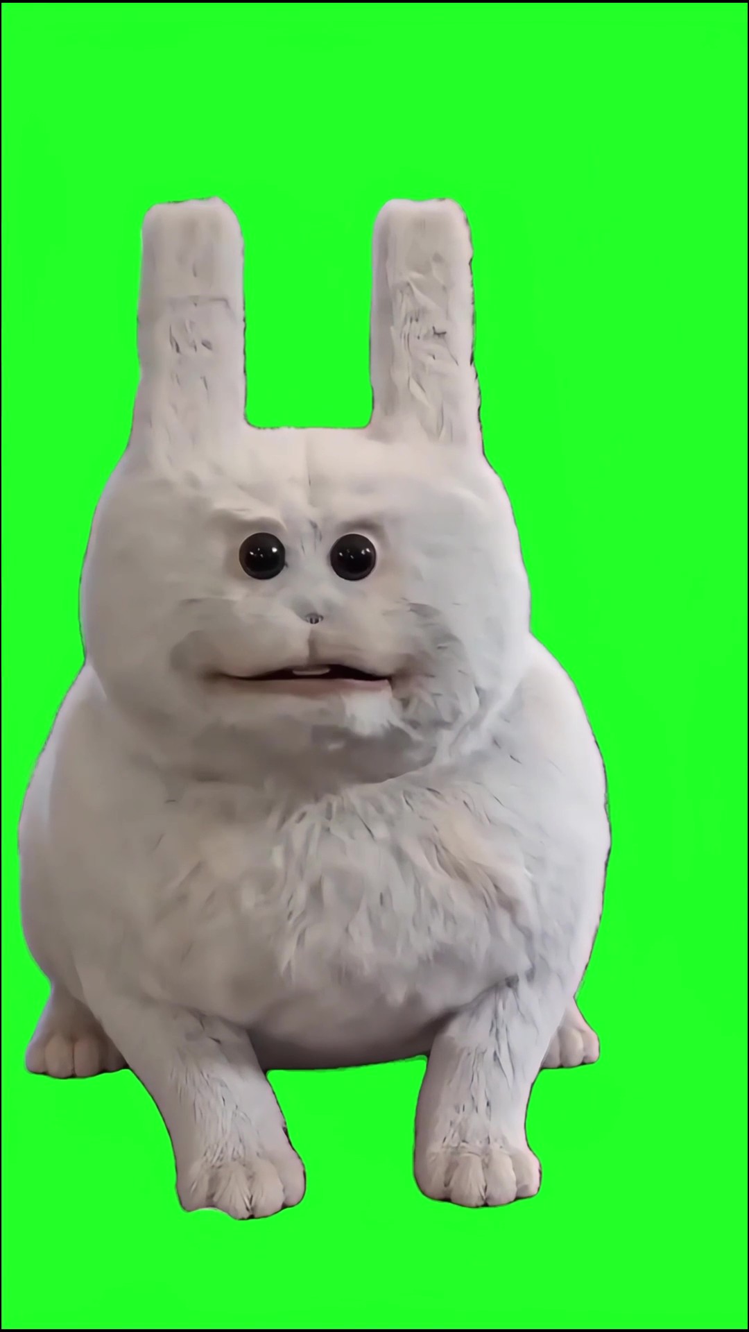 such a silly gooby green screen
