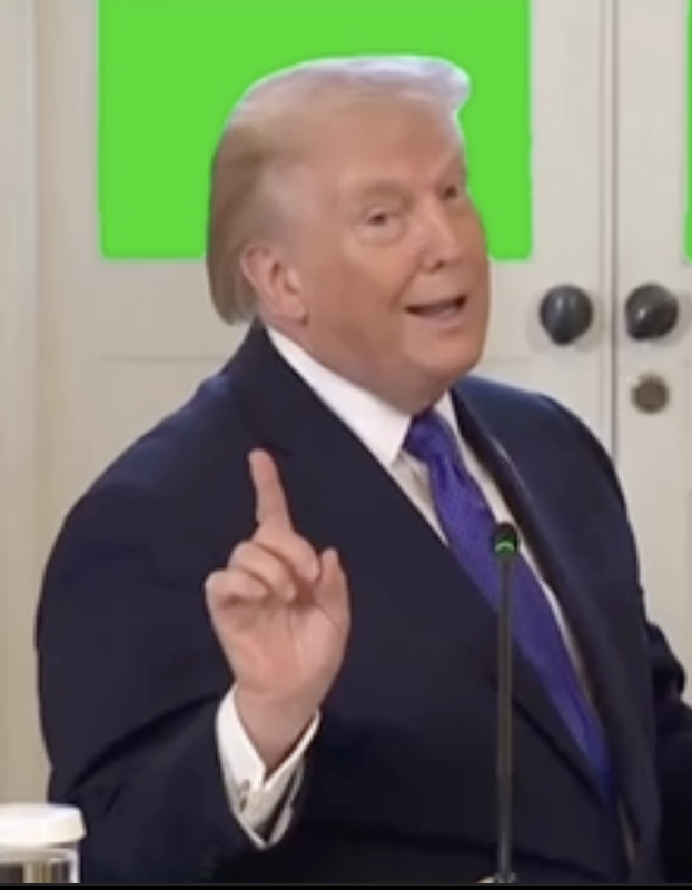 Trump looking out the window green screen