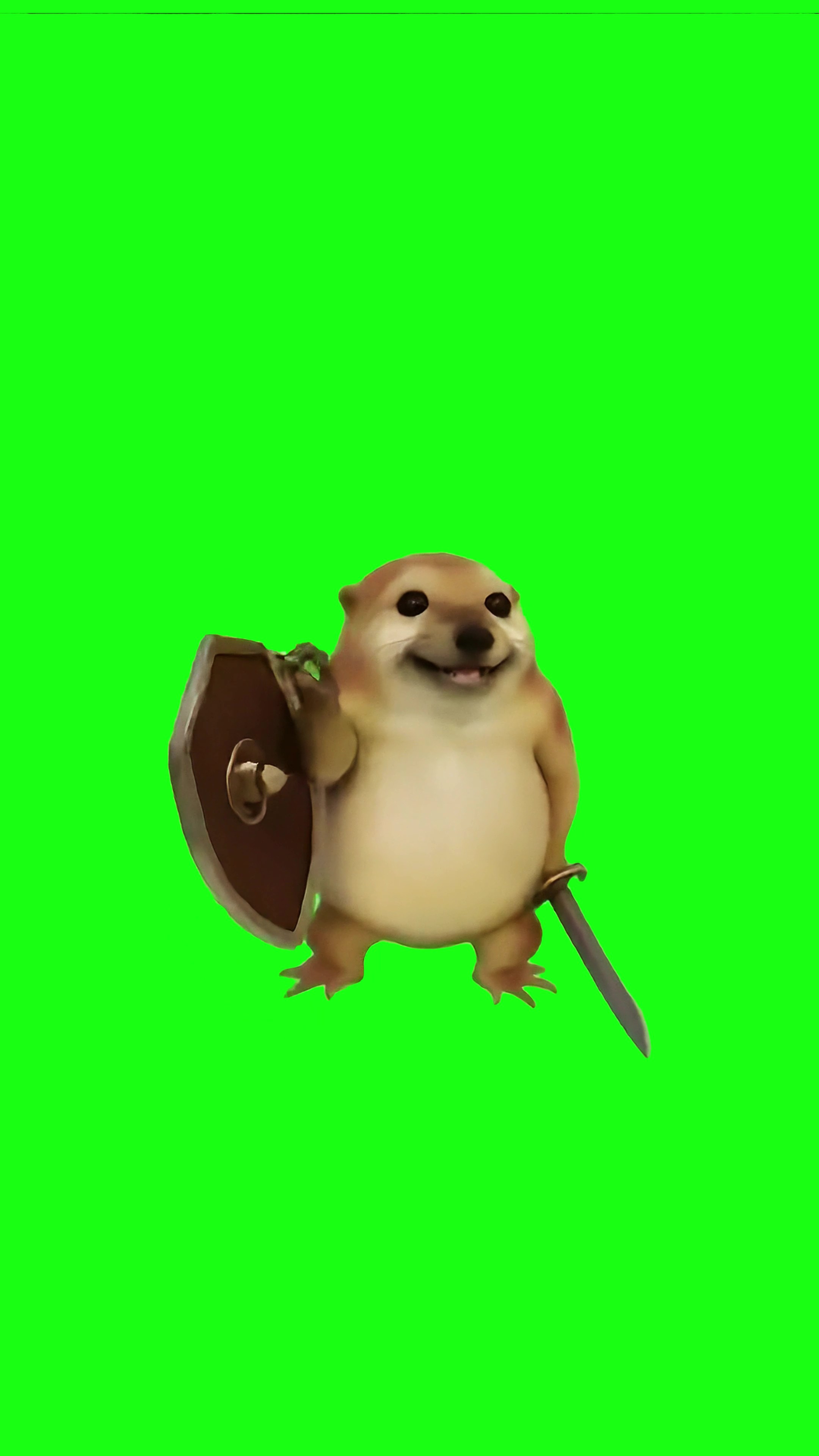 What the dog doing green screen